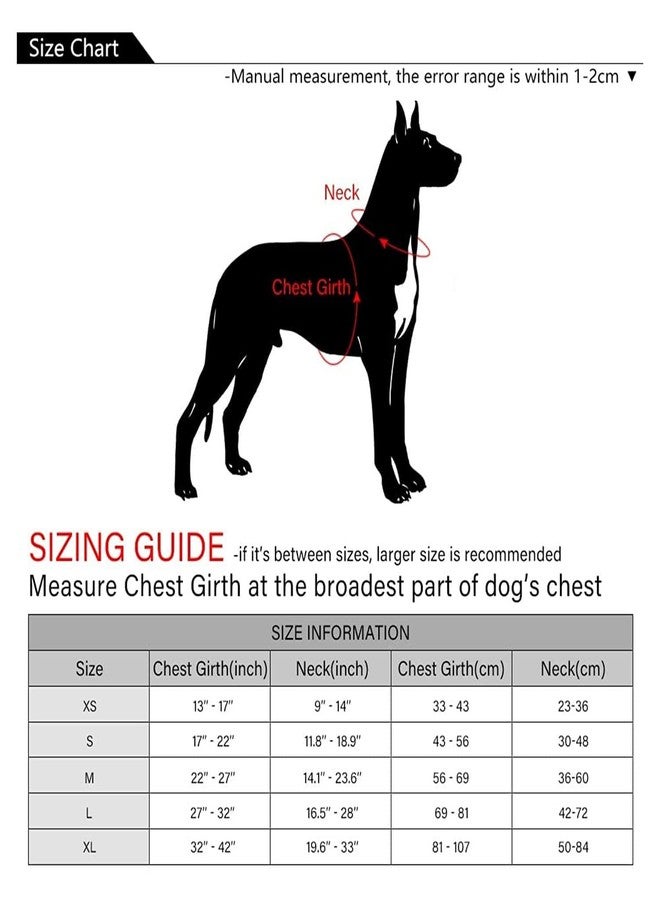 DOGTOWN Adjustable Chest Belts for Dog | Standard Harness with Adjustable Straps, Lock Security Button for Daily Walking, Jogging, Hiking, Training - Blue (Large) - Image 5